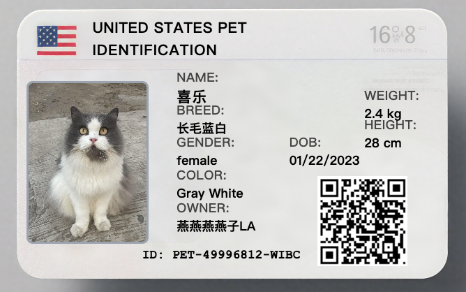 Sample Pet ID Card 1